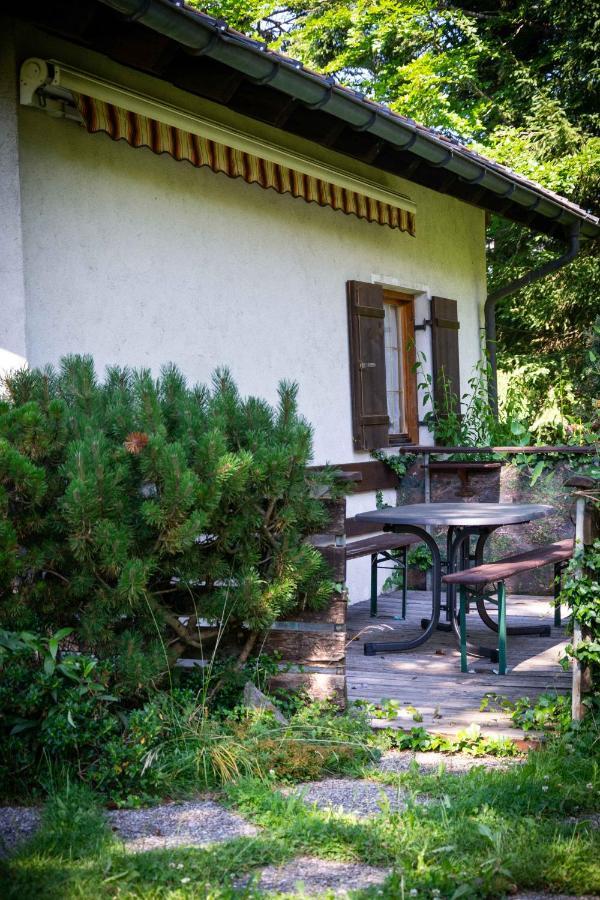Ferienhaus Schetteregg Zewnętrze zdjęcie