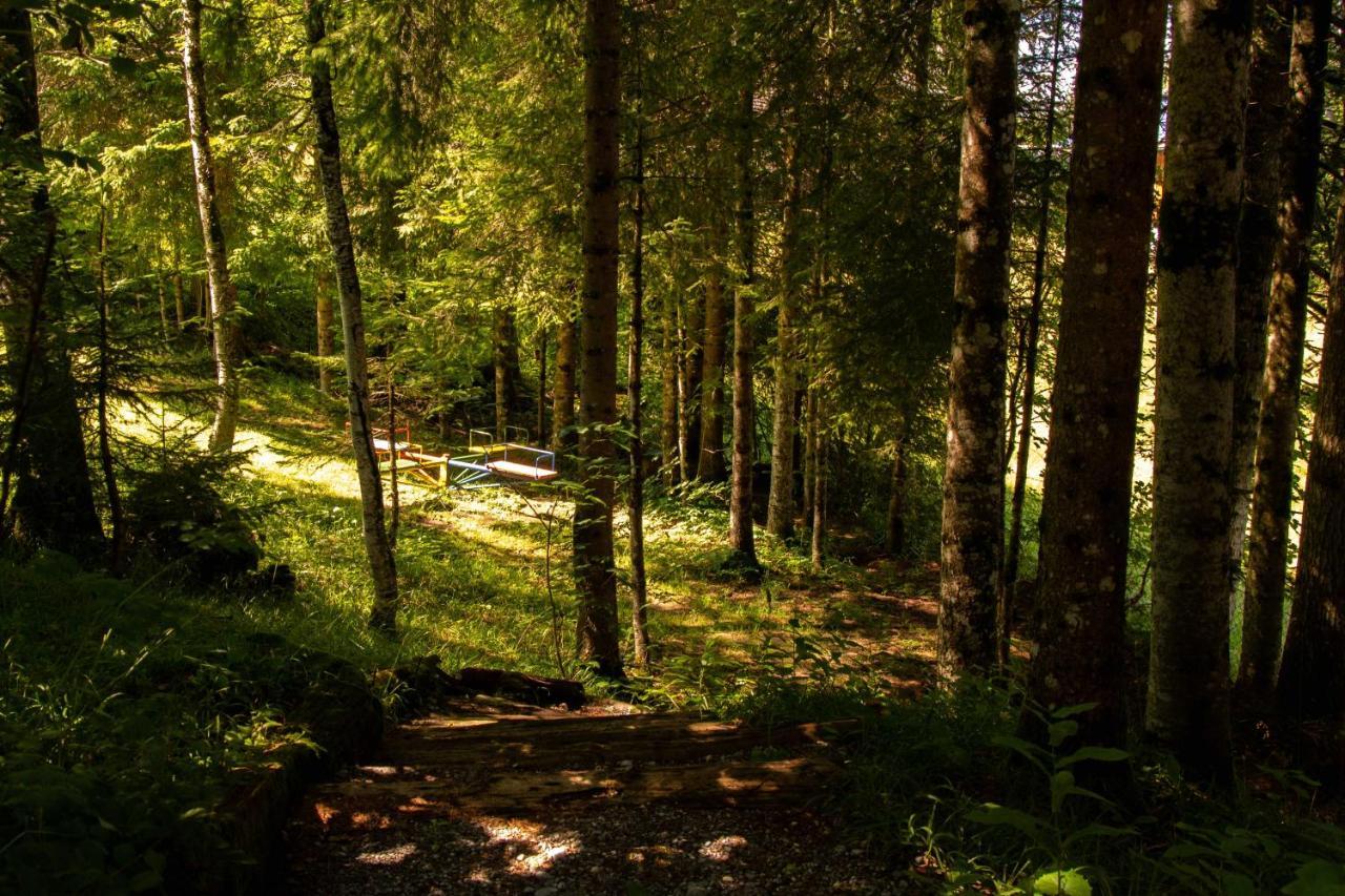 Ferienhaus Schetteregg Zewnętrze zdjęcie