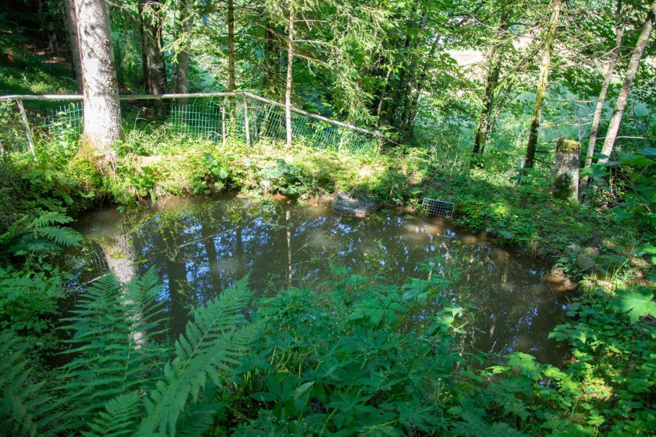 Ferienhaus Schetteregg Zewnętrze zdjęcie